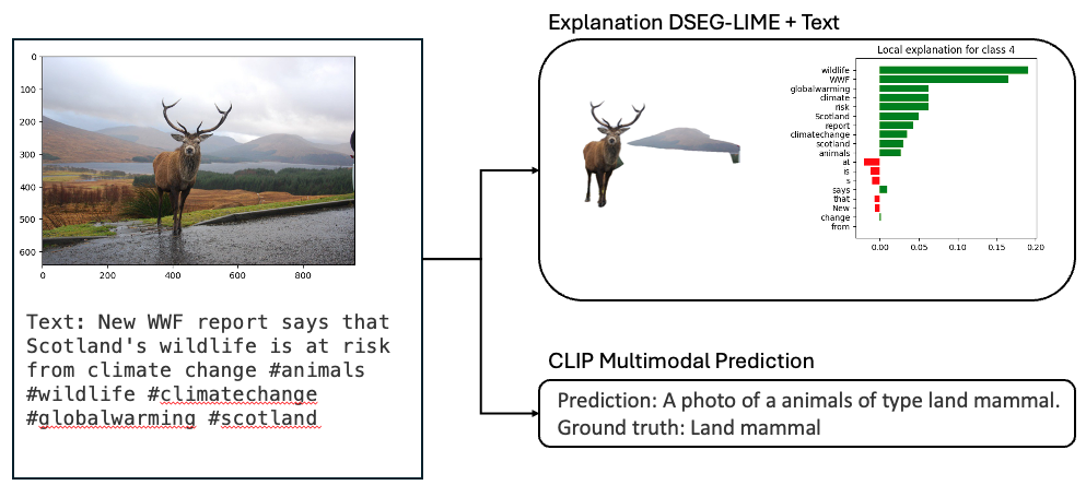 Deer Multimodal Analysis