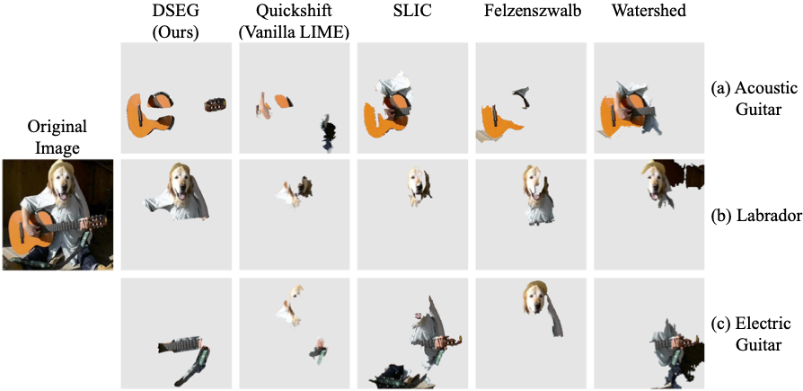 Example Dog Image Analysis