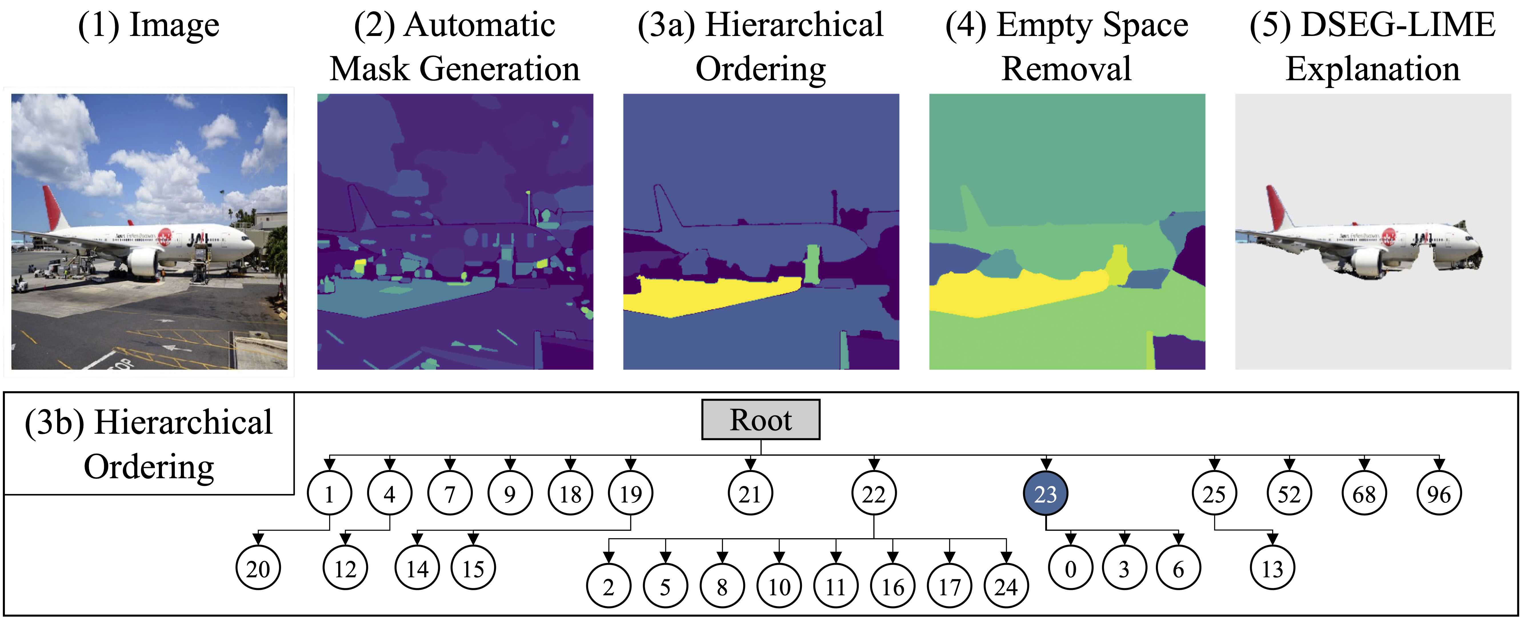 DSEG-LIME Technique Visualization