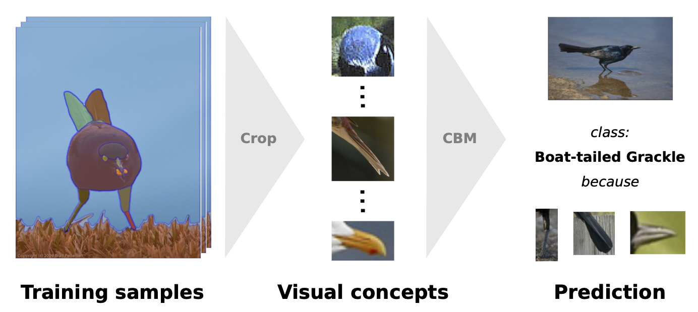 DCBM: Data-Efficient Visual Concept Bottleneck Models